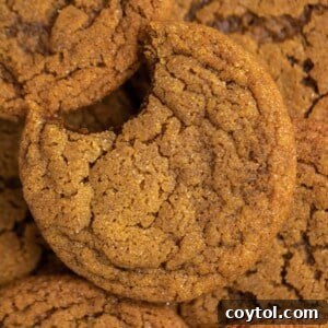 Close up of ginger molasses cookies