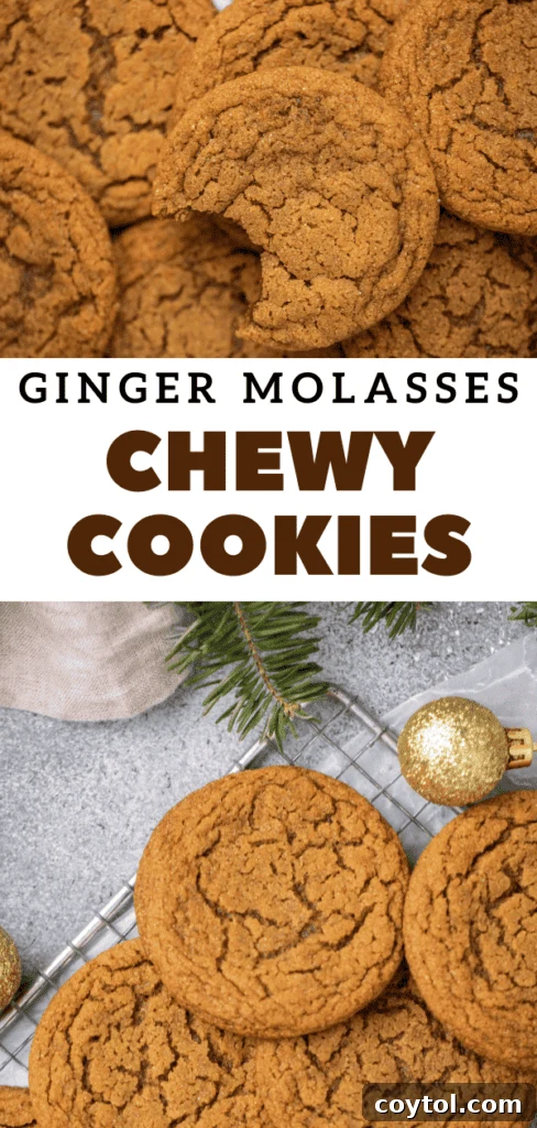 Chewy ginger molasses cookies on a white background