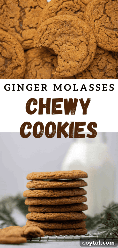 Ginger molasses cookies stacked with a festive background