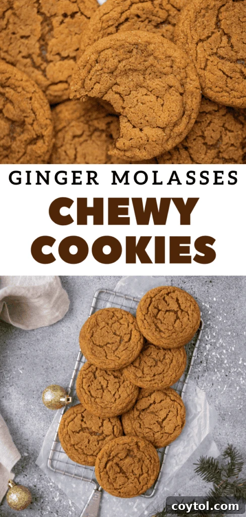 A single ginger molasses cookie with a bite taken out