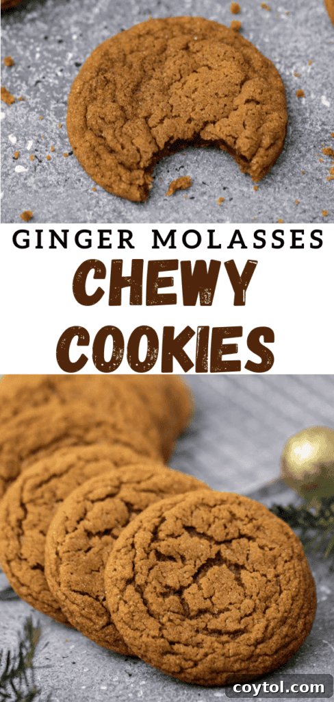 Collection of ginger molasses cookies on a plate