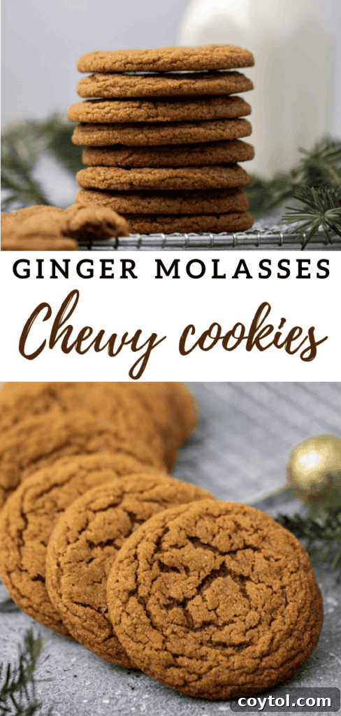 Ginger molasses cookie dough rolled in sugar