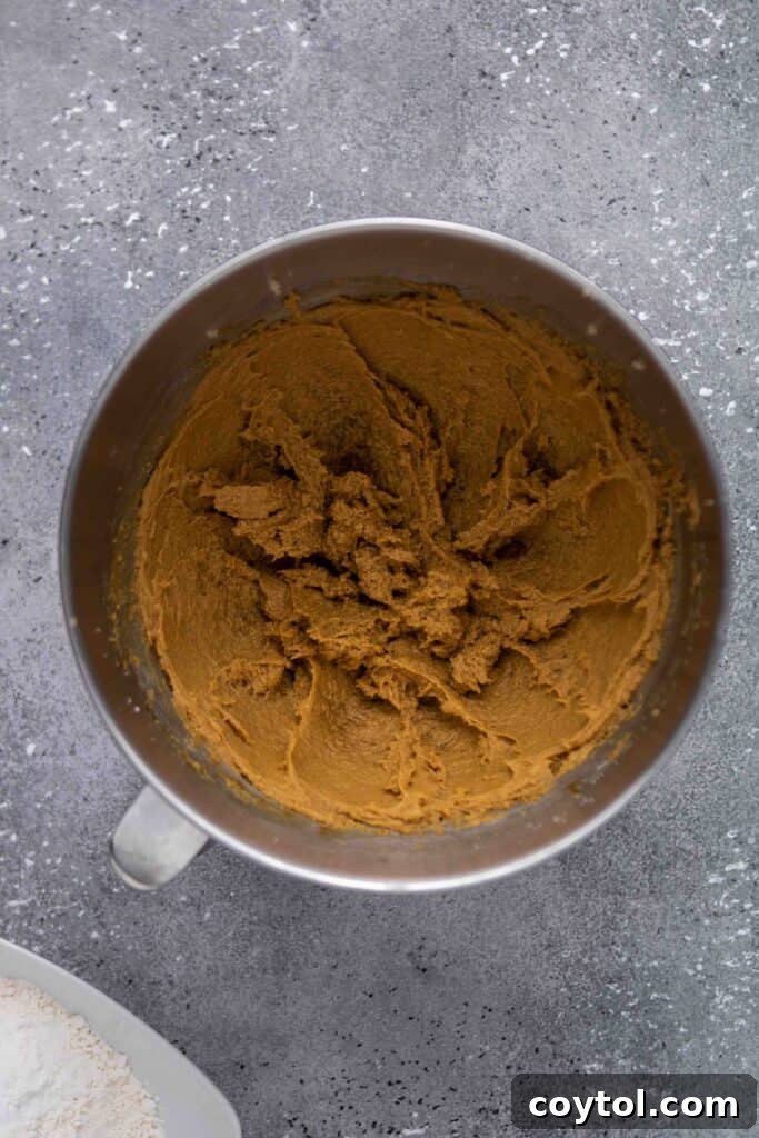 Step-by-step image of cookie dough ready for rolling
