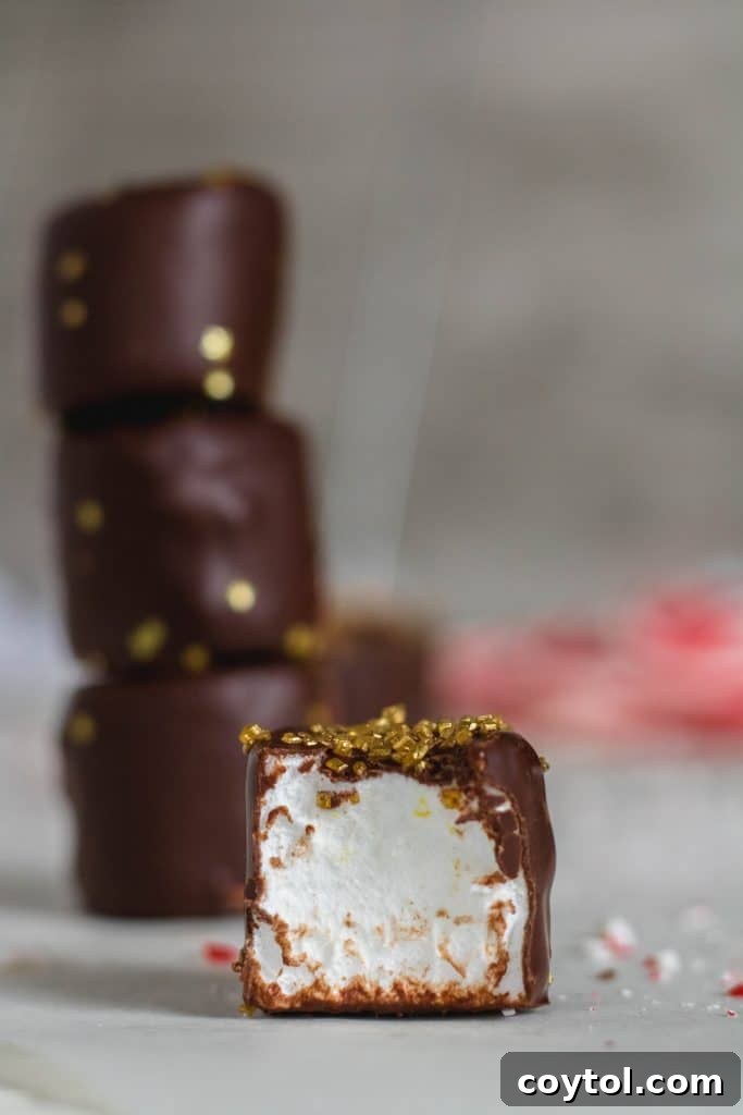 Chocolate covered marshmallow bite, an easy no-bake Christmas treat.