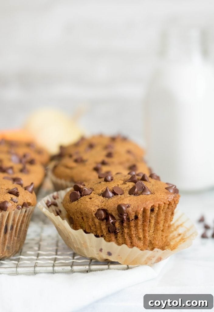Close-up of a pumpkin chocolate chip muffin with a bottle of milk in the background, showcasing its moist texture and chocolate chips.