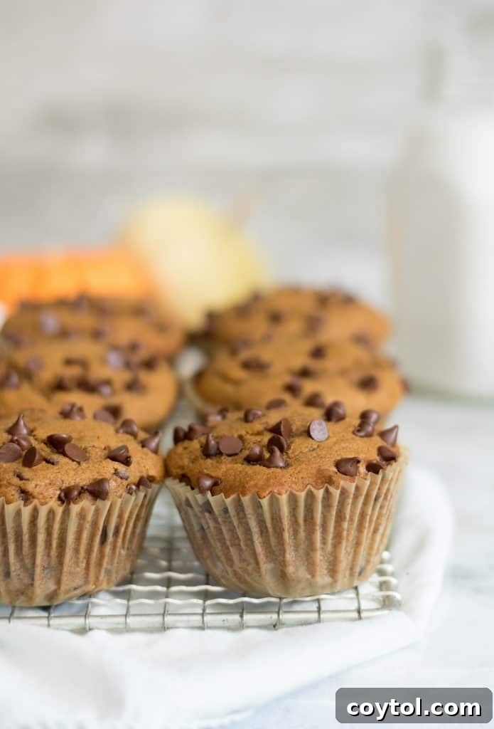 Close-up shot of several mini chocolate chip muffins resting on a wire cooling rack, highlighting their texture and the melted chocolate.