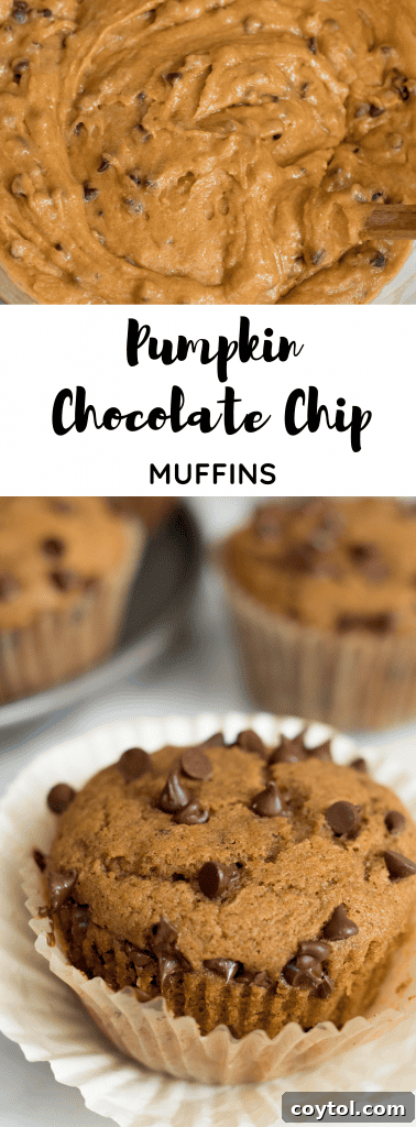 Long Pinterest pin for Pumpkin Chocolate Chip Muffins, featuring a stack of muffins.