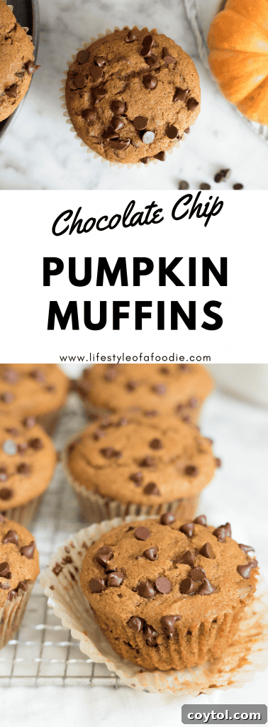Pinterest pin for the best Pumpkin Chocolate Chip Muffins, showing a close-up.