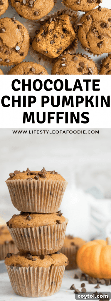 Pinterest pin for easy Pumpkin Chocolate Chip Muffin recipe, with an overhead shot.