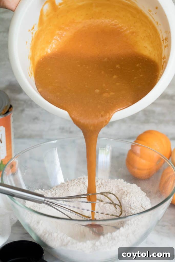 The wet ingredients for the pumpkin muffins being poured into the well of the dry ingredients.