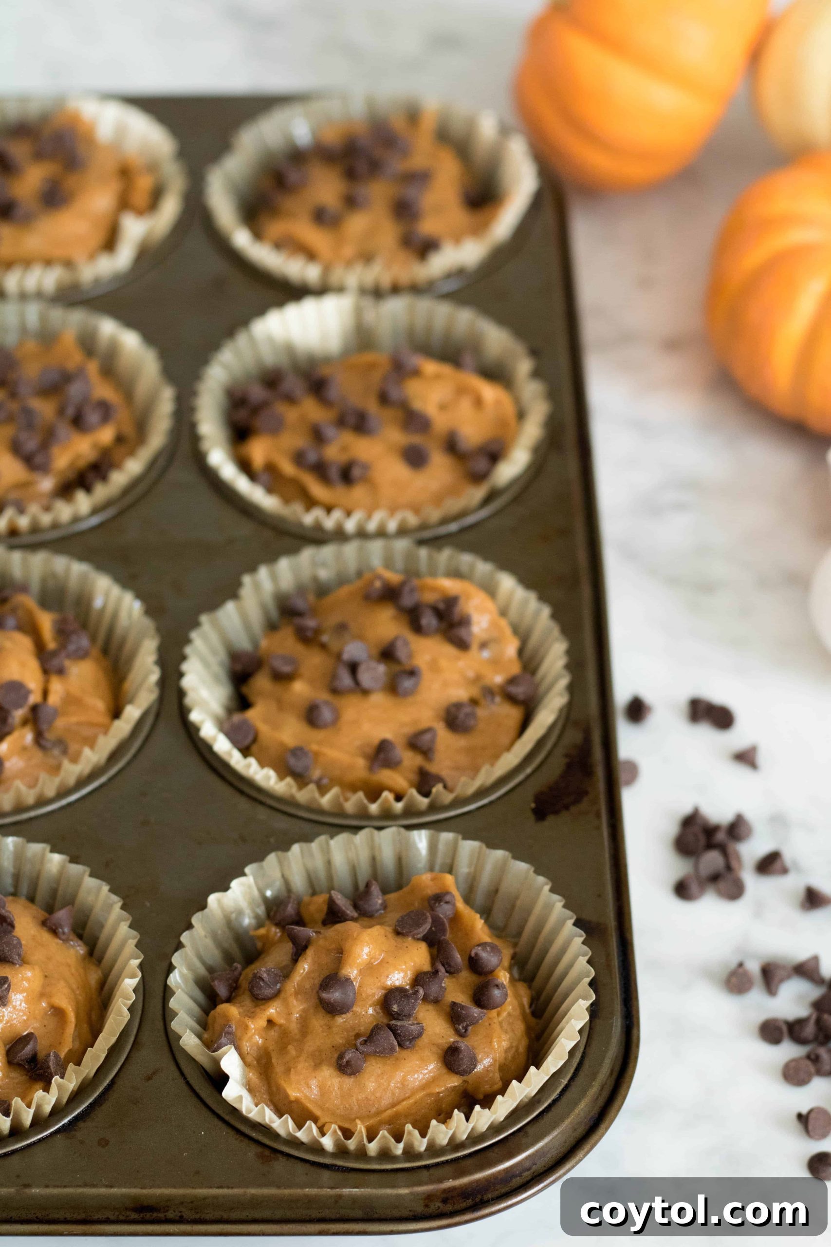 Muffin batter neatly placed into paper liners in a muffin pan, before baking.
