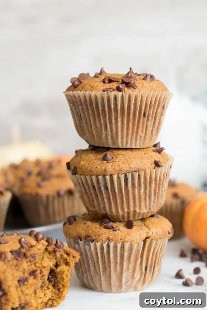 A tall stack of perfectly baked pumpkin chocolate chip muffins, showcasing their golden tops and numerous chocolate chips.