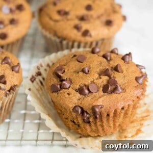 Delicious Pumpkin Chocolate Chip Muffins, ready to eat.