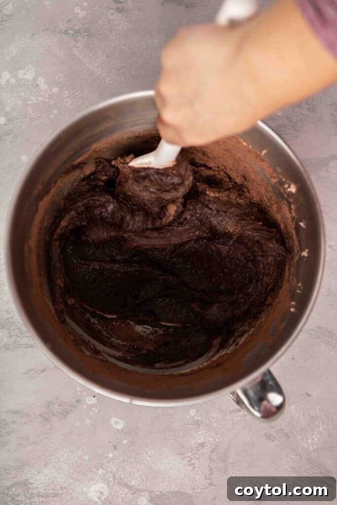 Decadent Fudgy Cheesecake Brownies 9 Folding the dry ingredients into the wet ingredients for brownie batter
