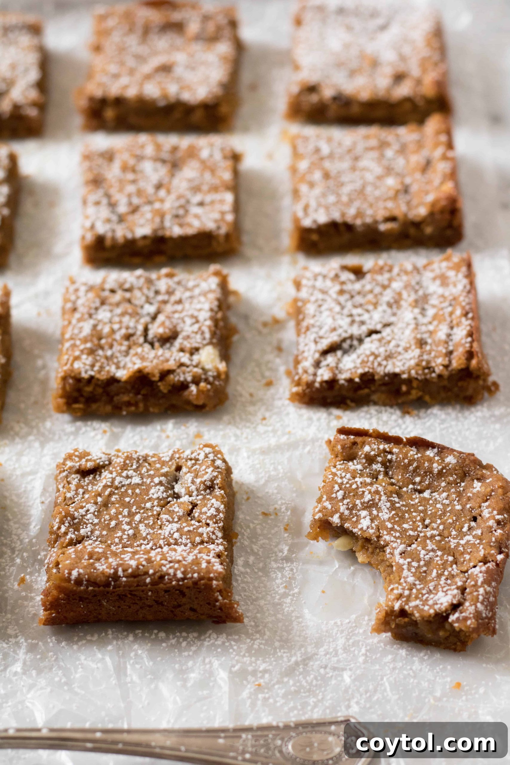 Delightful chickpea pumpkin blondie squares dusted with powdered sugar, a perfect vegan and gluten-free treat.