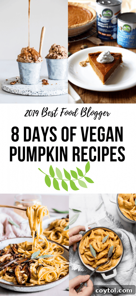 Another beautiful collage featuring diverse plant-based pumpkin dishes, ideal for seasonal vegan meals.