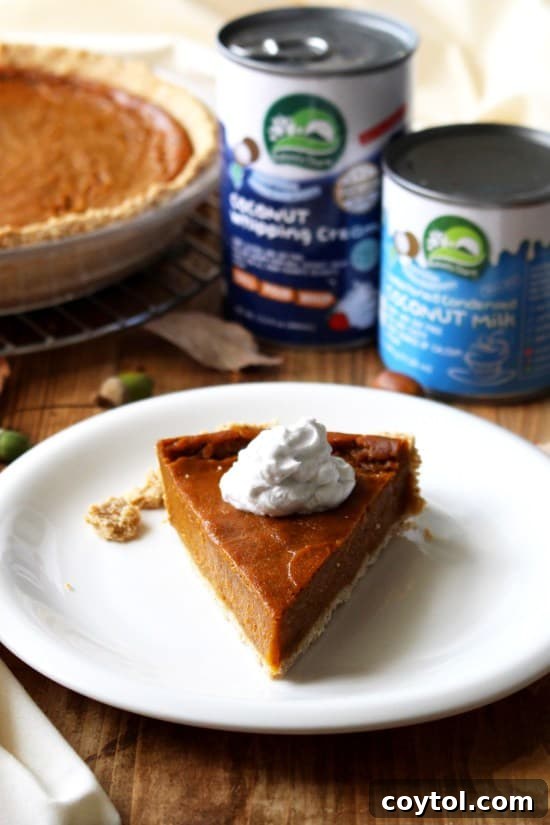 A stunning vegan pumpkin pie topped with a delicate dollop of coconut cream, a perfect festive dessert.