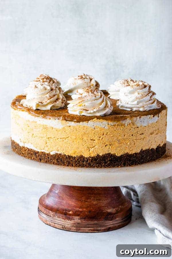 A magnificent vegan pumpkin cheesecake, elegantly prepared and ready to be served.