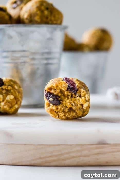 Exquisite cranberry pumpkin vegan cheesecake balls, bite-sized delights for any occasion.