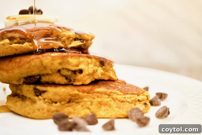 Scrumptious vegan pumpkin pancakes adorned with chocolate chips and a pat of vegan butter, a perfect fall breakfast.