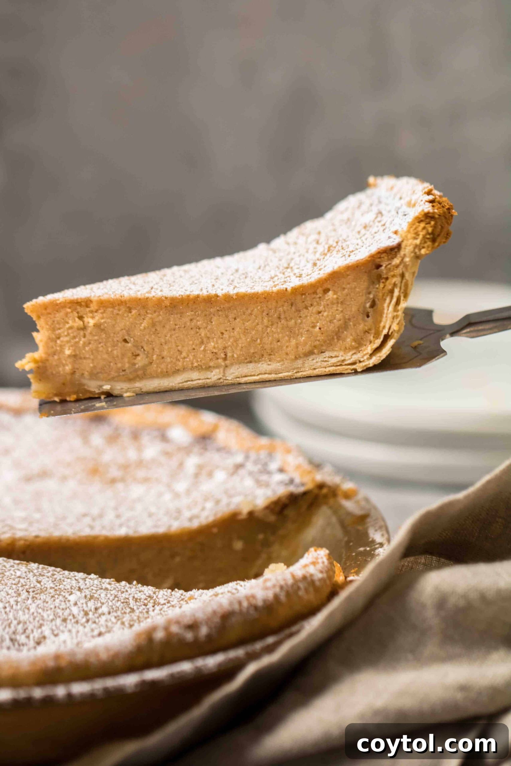 A beautifully photographed, modern Southern sweet potato pie from 2020, showcasing improved presentation and quality.