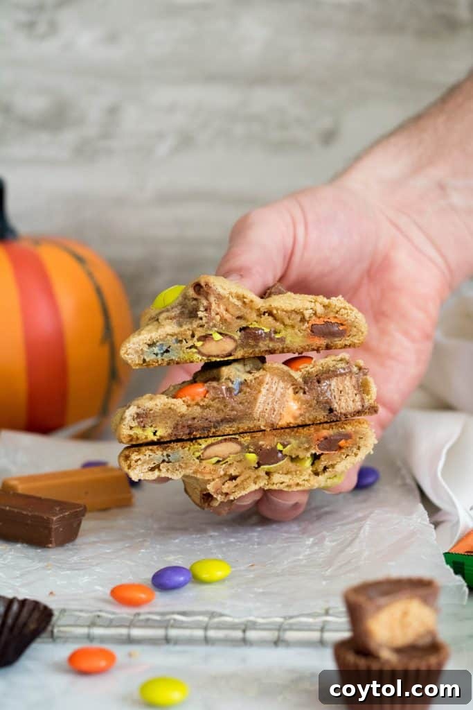 Close-up of a single cookie with melted Halloween candy inside and on top
