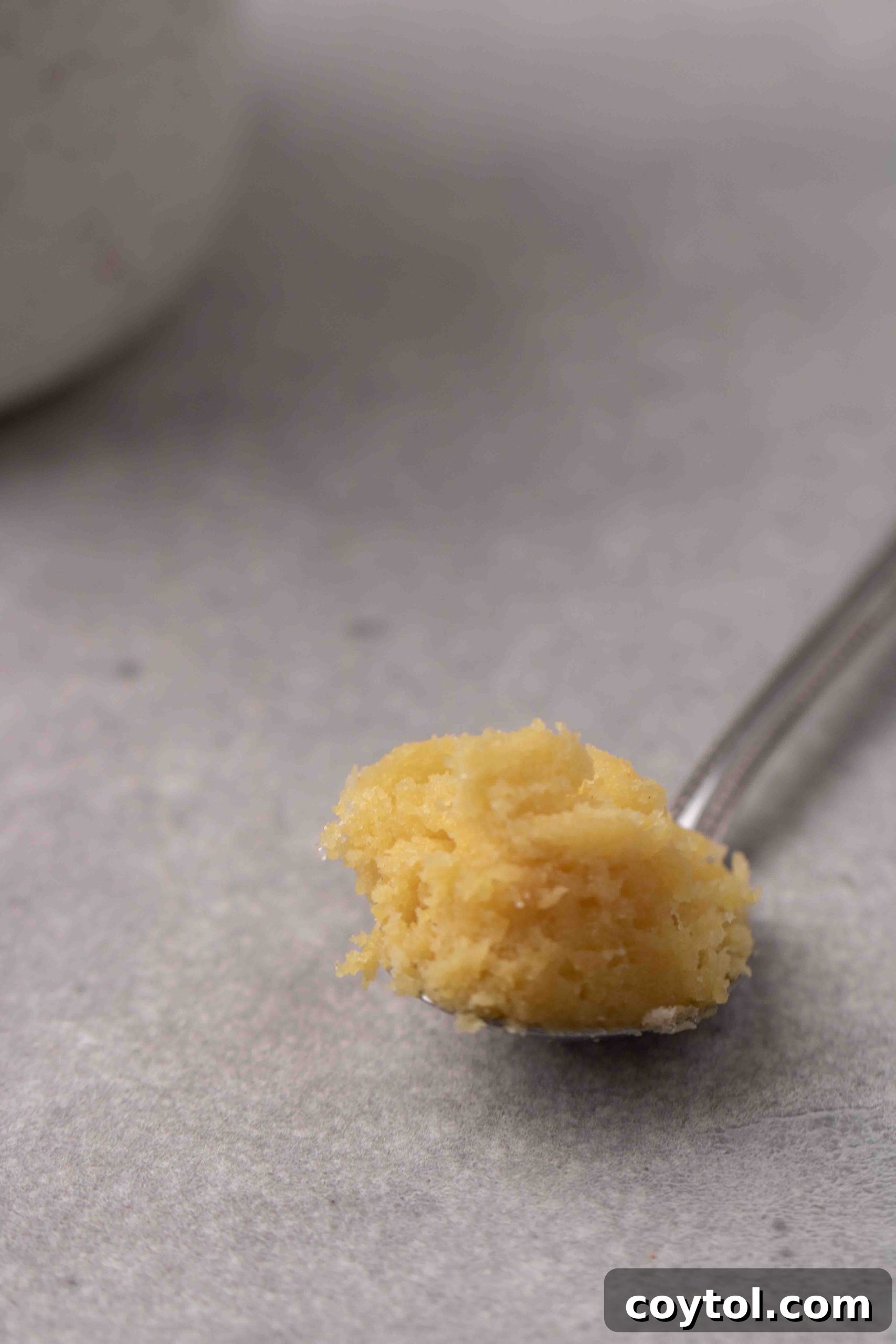 Close up of a soft, chewy microwave sugar cookie in a spoon, highlighting its delightful texture.