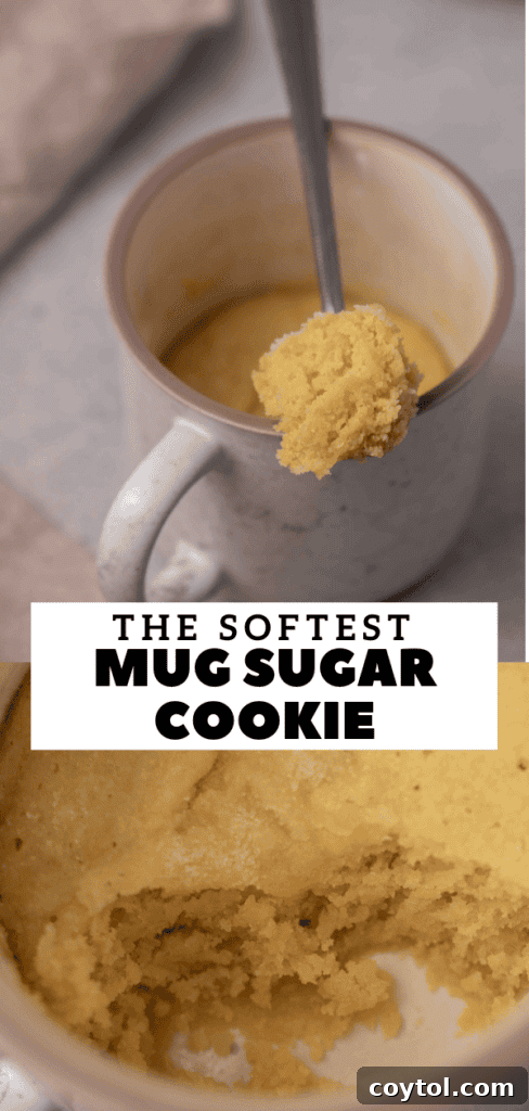 The softest sugar mug cookie ever, perfect for a quick dessert.