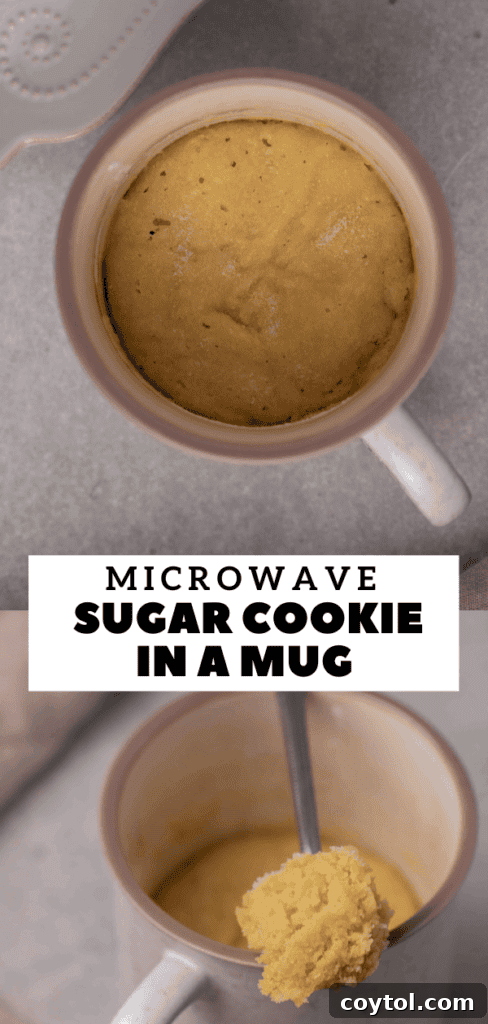 A delicious single-serve microwave sugar cookie in a mug.
