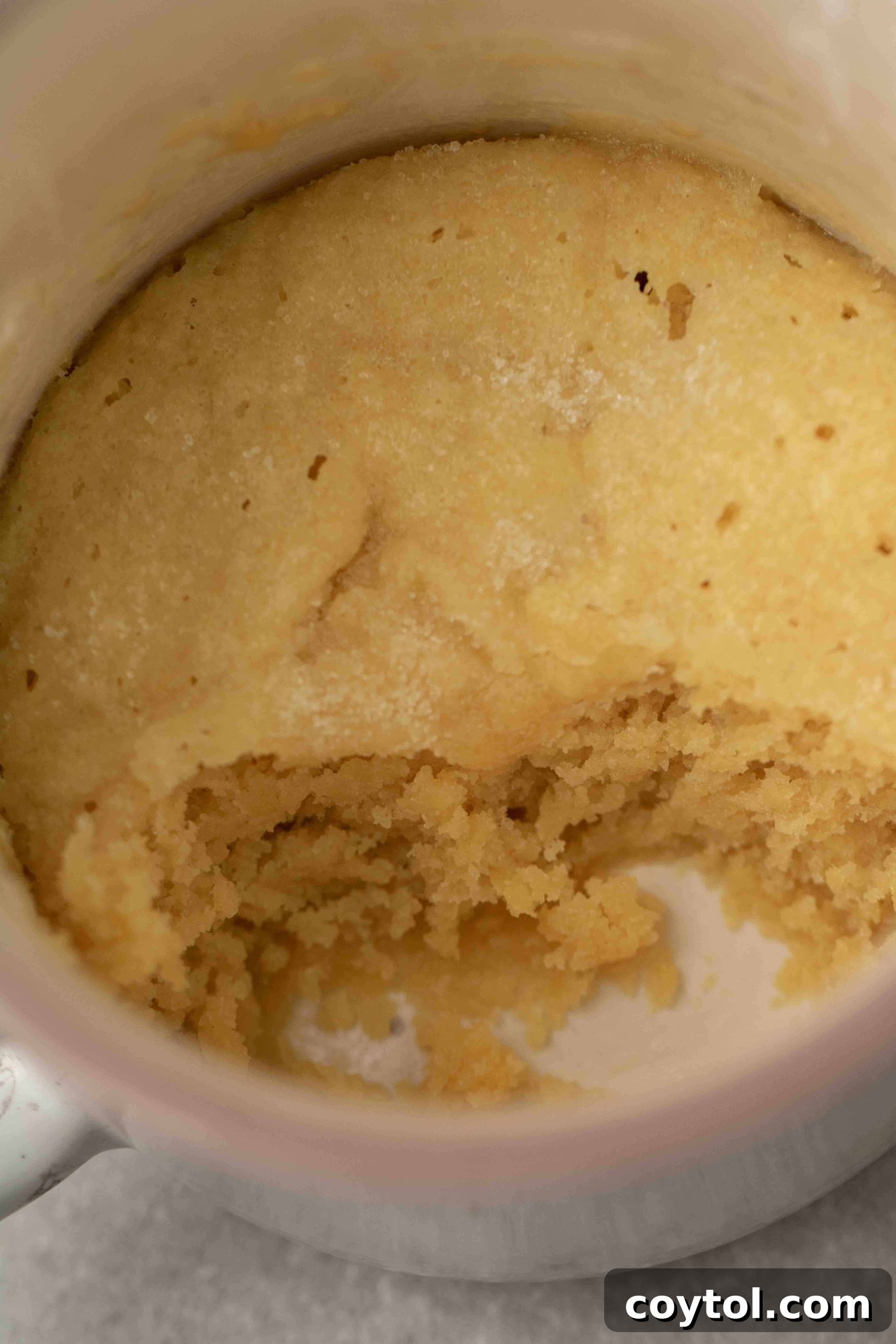 What makes a microwave mug sugar cookie special and unique