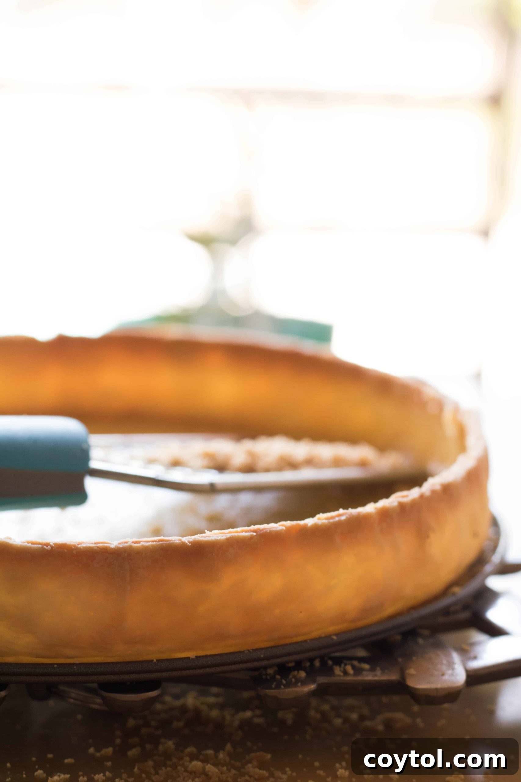 Mastering Flawless Pie and Tart Shells: 4 Secrets Revealed 11 sweet potato pie crust