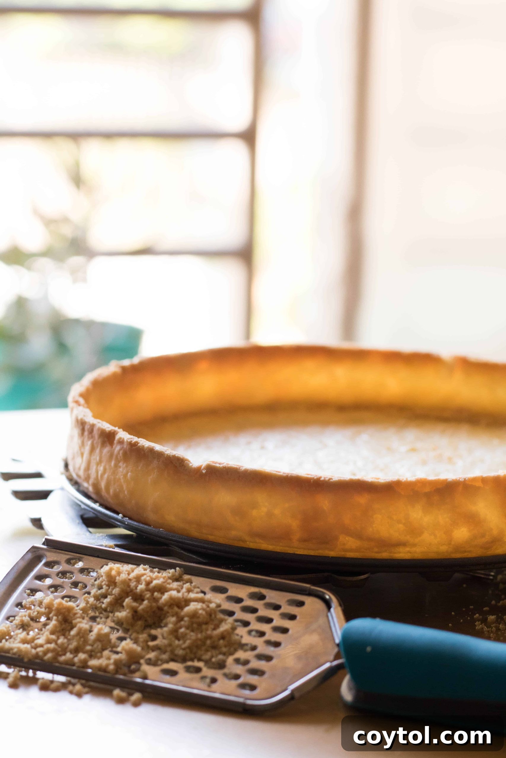 Mastering Flawless Pie and Tart Shells: 4 Secrets Revealed 12 crust18 (1 of 1)