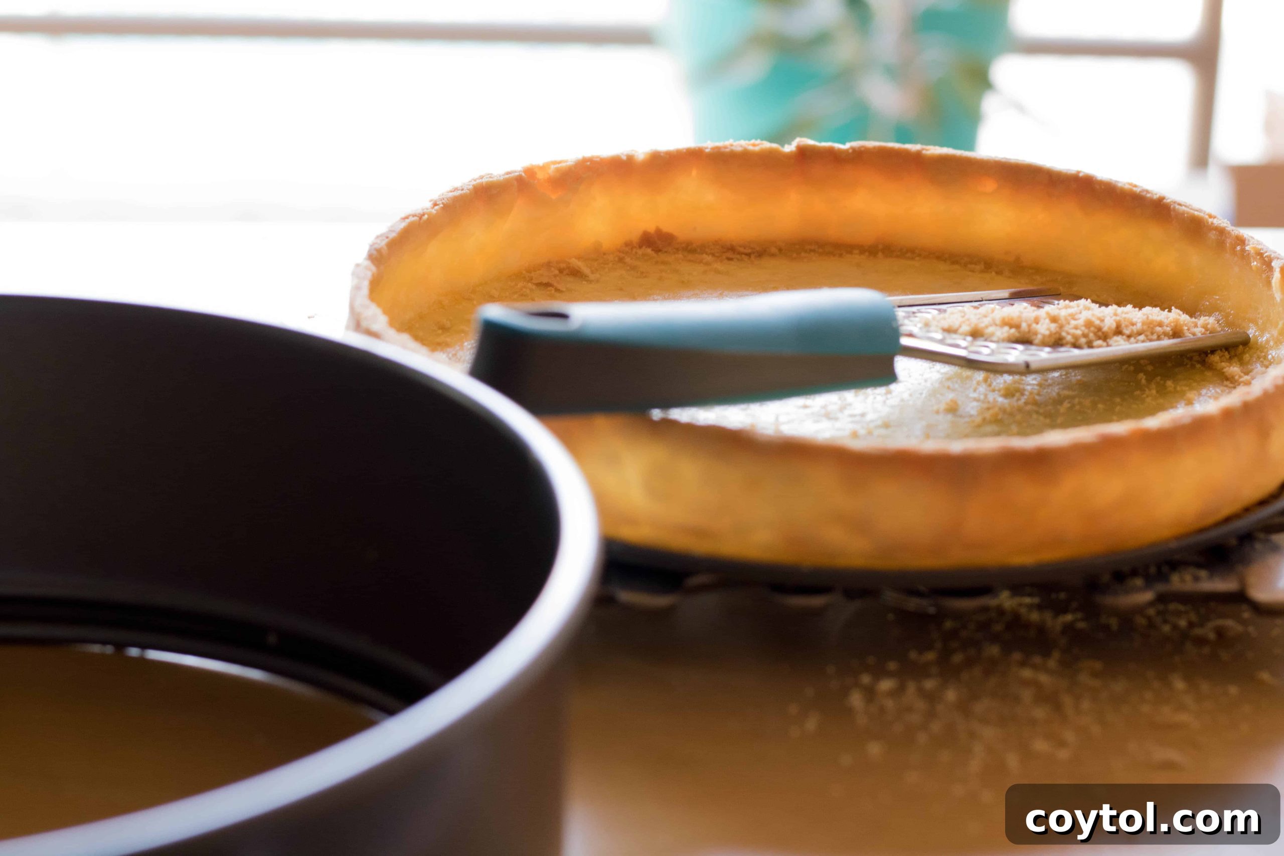 Mastering Flawless Pie and Tart Shells: 4 Secrets Revealed 4 pre baked crust for your tarts and pies this thanksgiving season