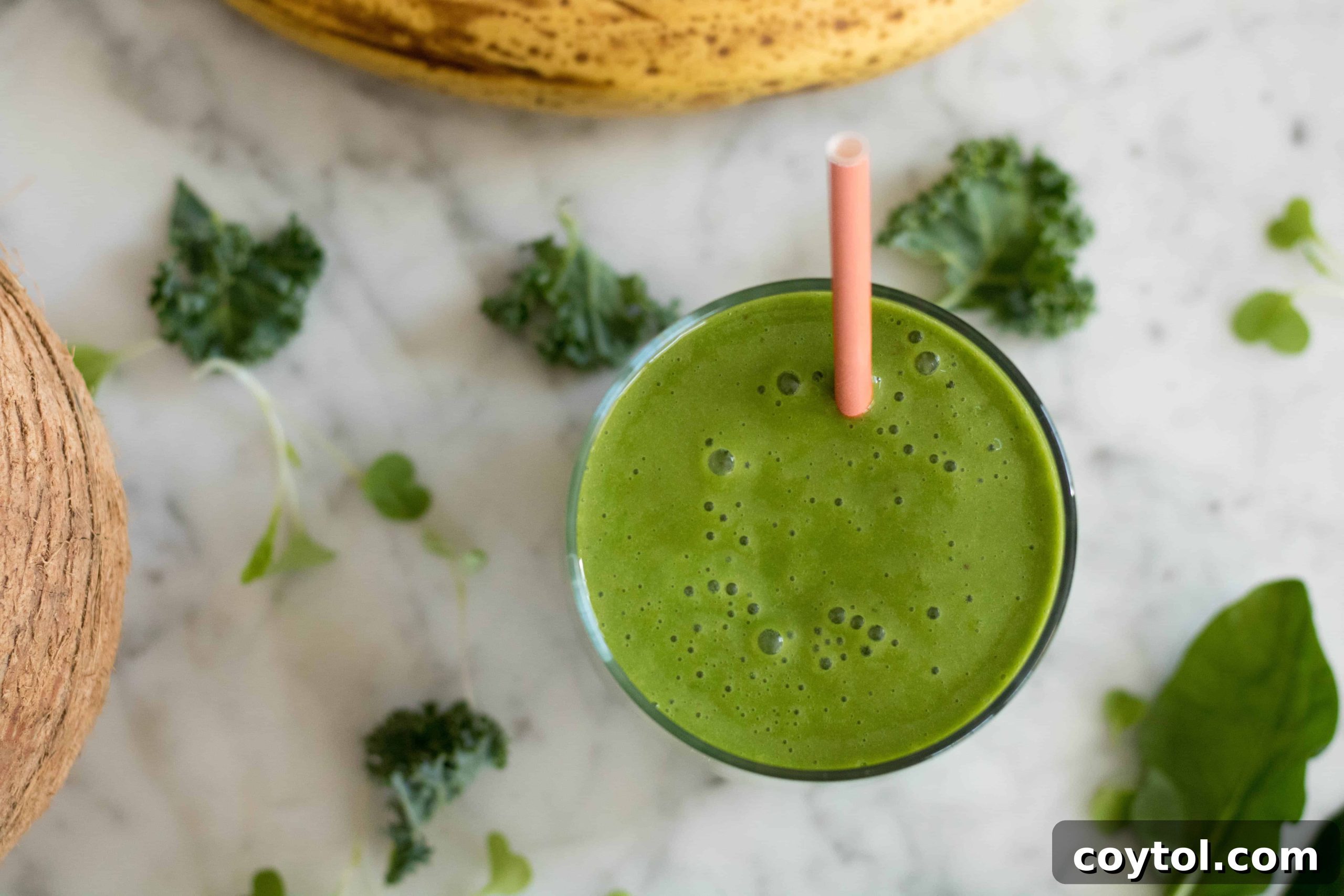 Overhead shot of a Spinach and Kale Smoothie with a tropical background
