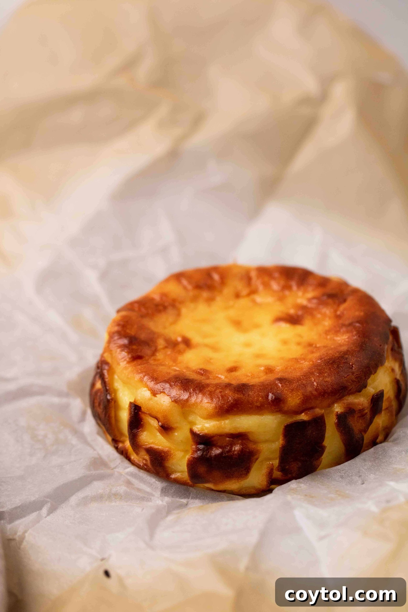 Small burnt Basque cheesecake for two, showcasing its perfectly caramelized top and creamy interior.