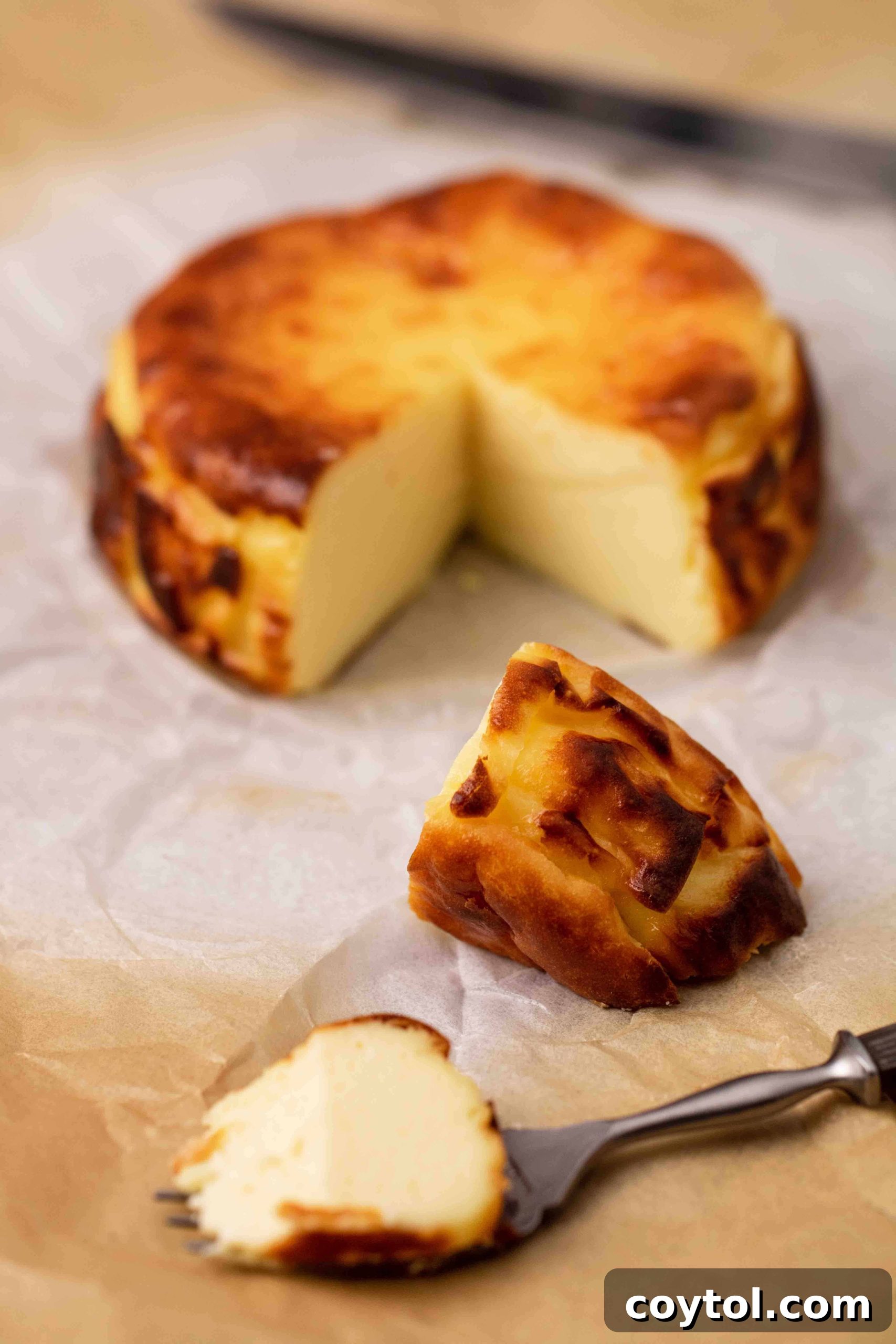 A close-up of a small burnt Basque cheesecake on a fork, highlighting its creamy texture.