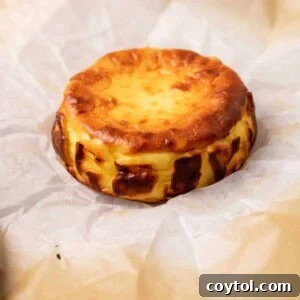 Small burnt basque cheesecake for two