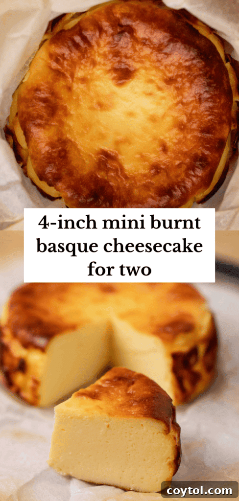 Pin-worthy image: A beautiful 4-inch mini burnt Basque cheesecake, perfect for a single serving or shared dessert for two.