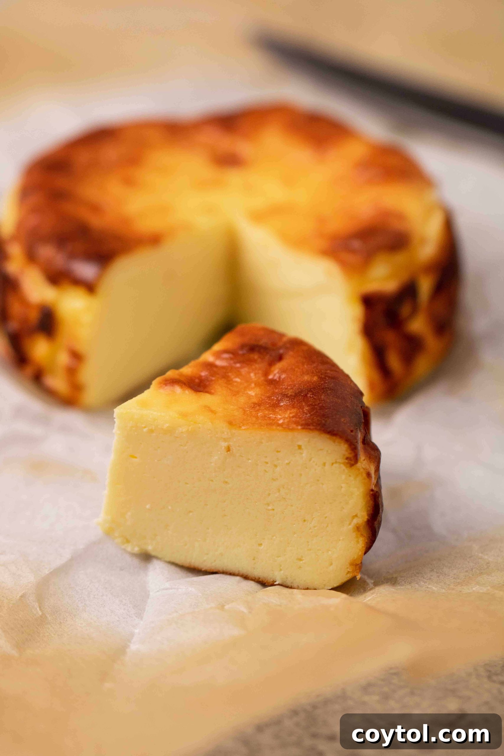 A slice of creamy 4-inch burnt Basque cheesecake, revealing its rich interior and signature burnt edges, perfect for a single serving or shared dessert.