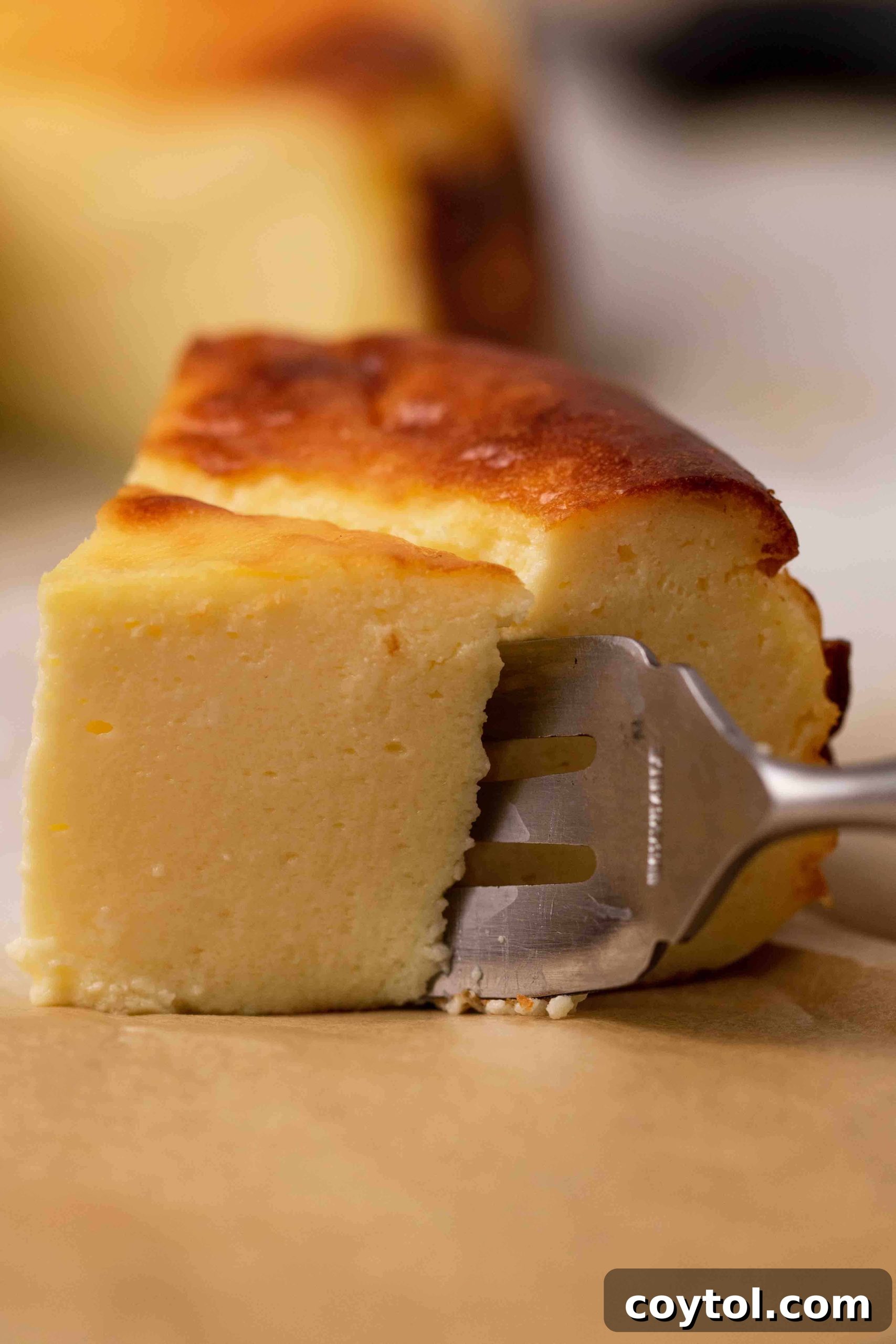 Small burnt Basque cheesecake served with fresh berries and a light dusting of powdered sugar, perfect for a gourmet dessert experience.