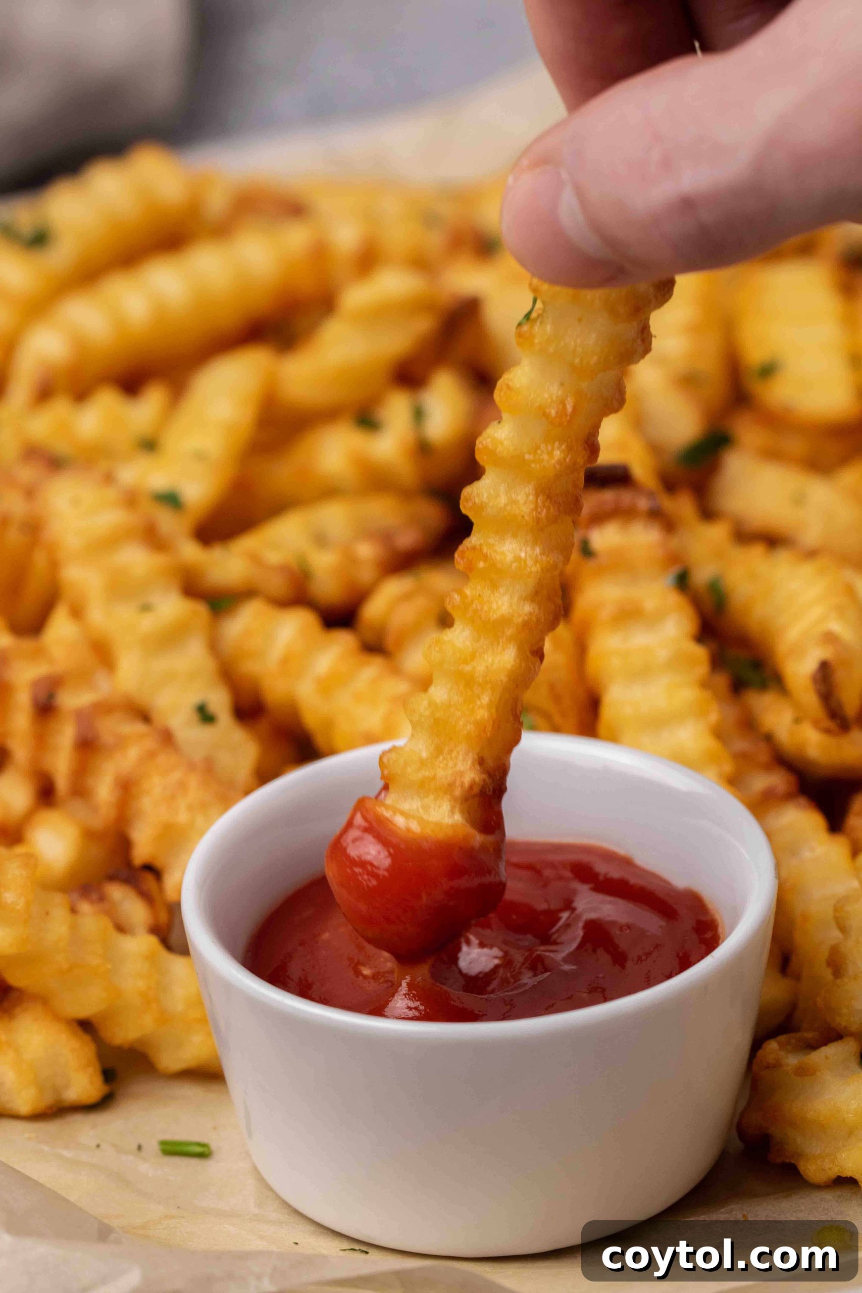 Crispy Air Fryer Fries with Fiery Ketchup 2 Perfectly golden and crispy air fryer frozen French fries piled high