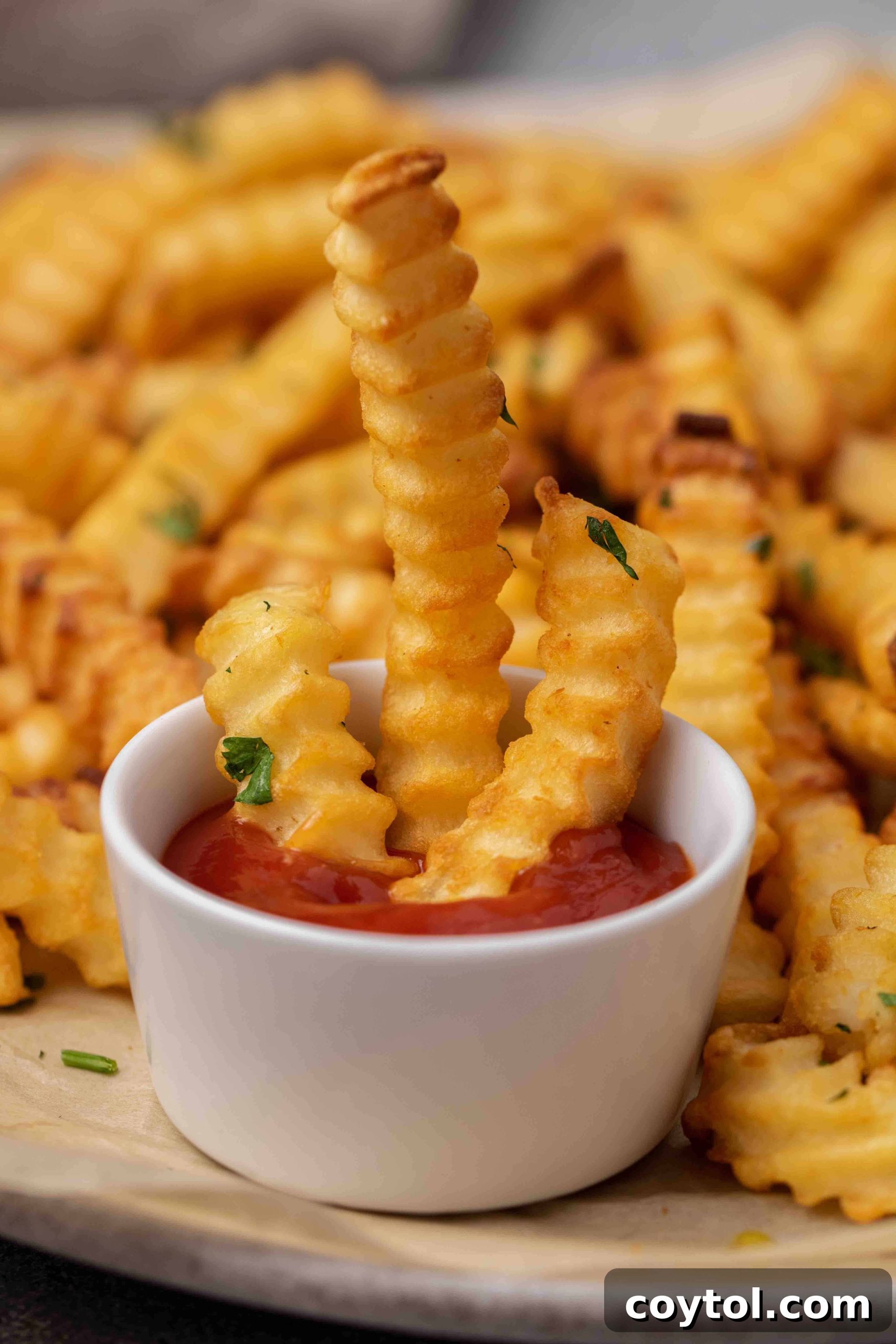 Crispy Air Fryer Fries with Fiery Ketchup 11 Crispy air fryer French fries served with a bowl of spicy horseradish ketchup
