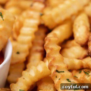 Crispy Air Fryer Fries with Fiery Ketchup 12 Close up of crunchy air fryer frozen crinkle fries