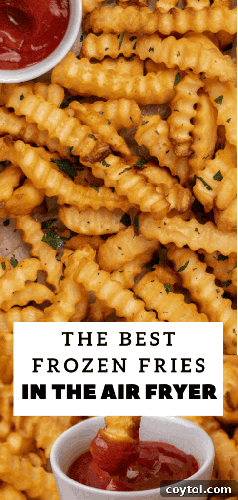 Crispy Air Fryer Fries with Fiery Ketchup 14 Easy air fryer frozen French fries recipe card pin