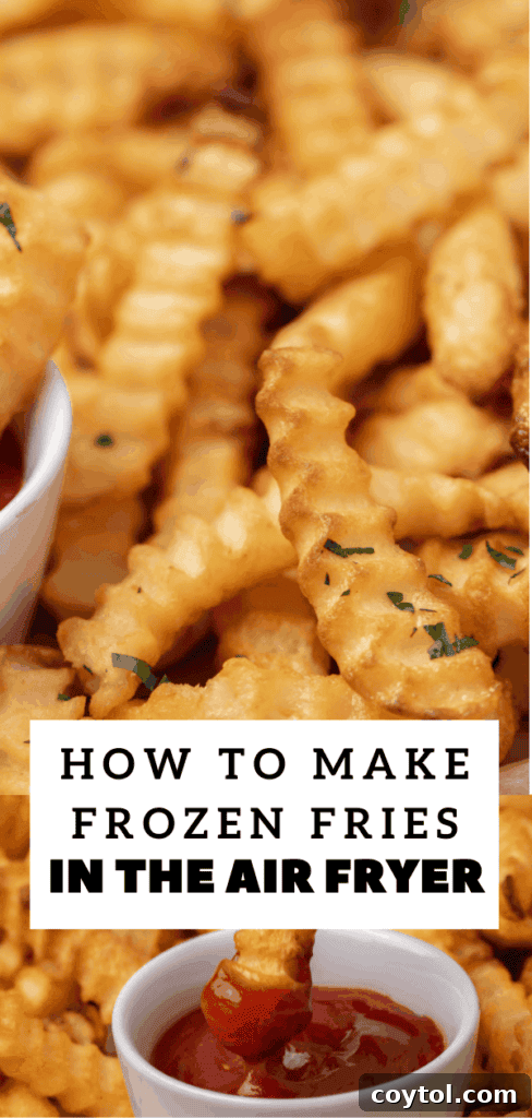 Crispy Air Fryer Fries with Fiery Ketchup 15 How to make frozen fries in the air fryer guide pin