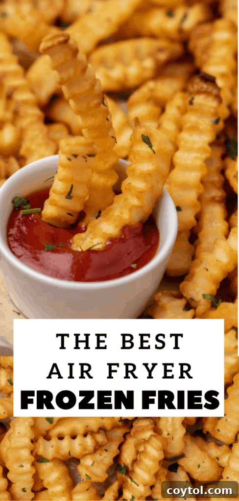 Crispy Air Fryer Fries with Fiery Ketchup 16 Frozen fries cooked perfectly in a Ninja Foodi air fryer pin