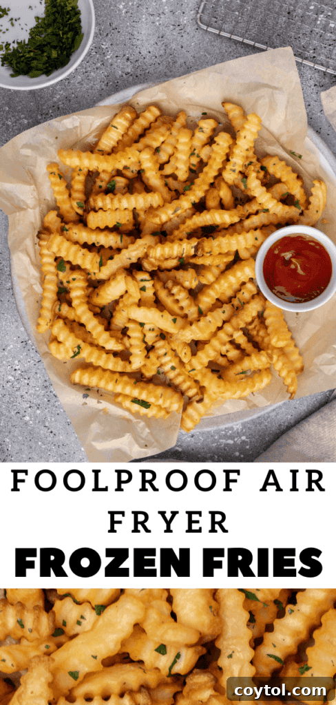 Crispy Air Fryer Fries with Fiery Ketchup 17 Frozen fries in Ninja Foodi air fryer for a crispy finish pin