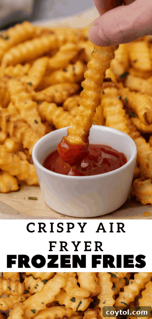 Crispy Air Fryer Fries with Fiery Ketchup 18 Delicious frozen fries made in a Ninja Foodi air fryer pin