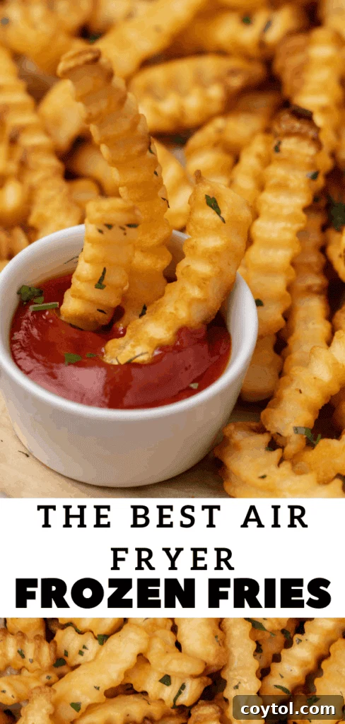 Crispy Air Fryer Fries with Fiery Ketchup 19 Easy air fryer frozen French fries for a quick snack pin