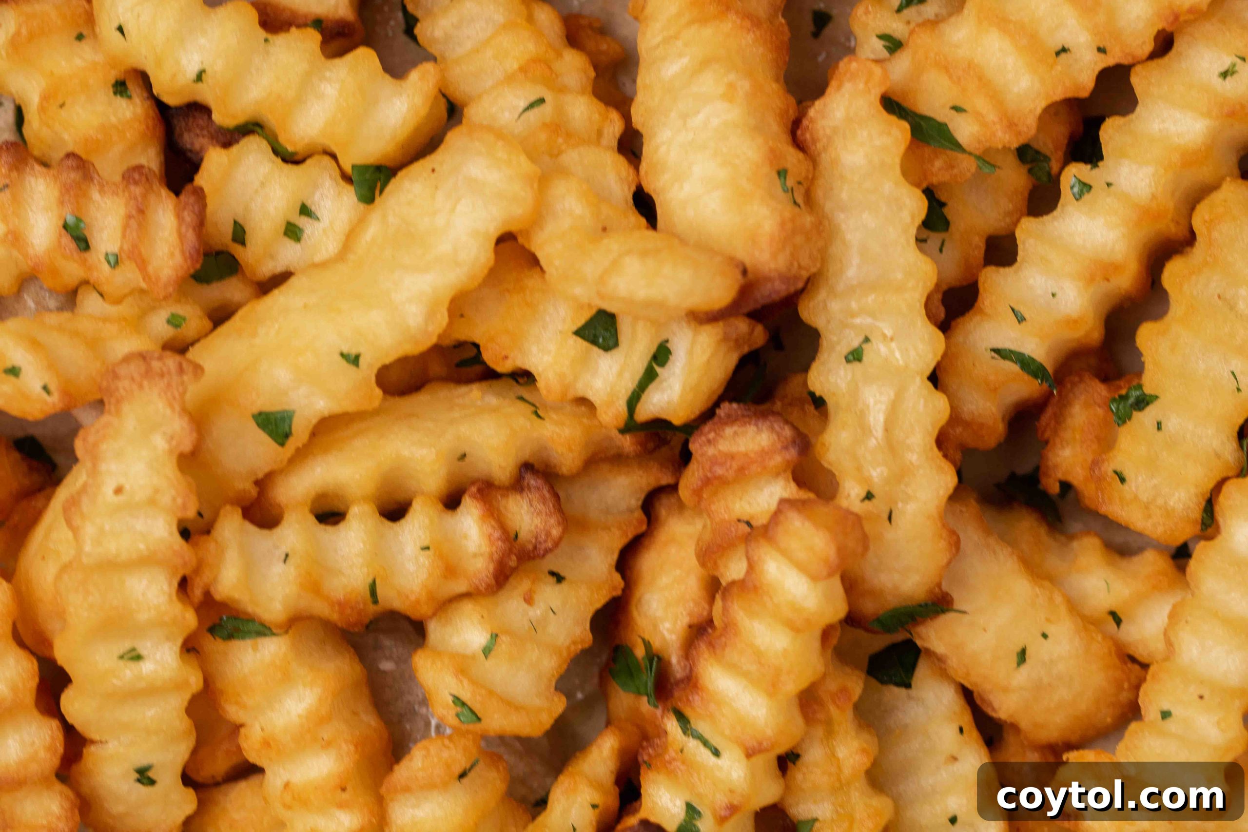 Crispy Air Fryer Fries with Fiery Ketchup 3 Close up of perfectly cooked air fryer frozen French fries with a sprinkle of salt
